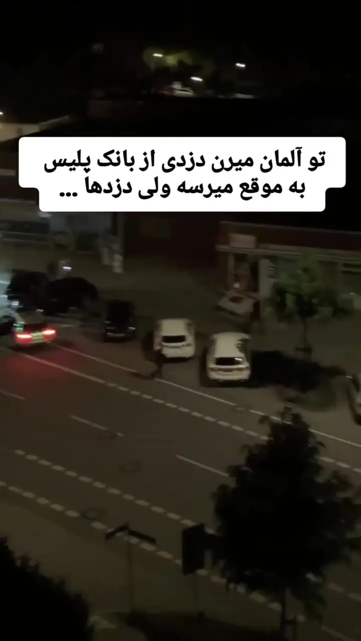 فیلم جنجالی از سرقت در آلمان / فرار حرفه‌ای دزد همه را شوکه کرد!