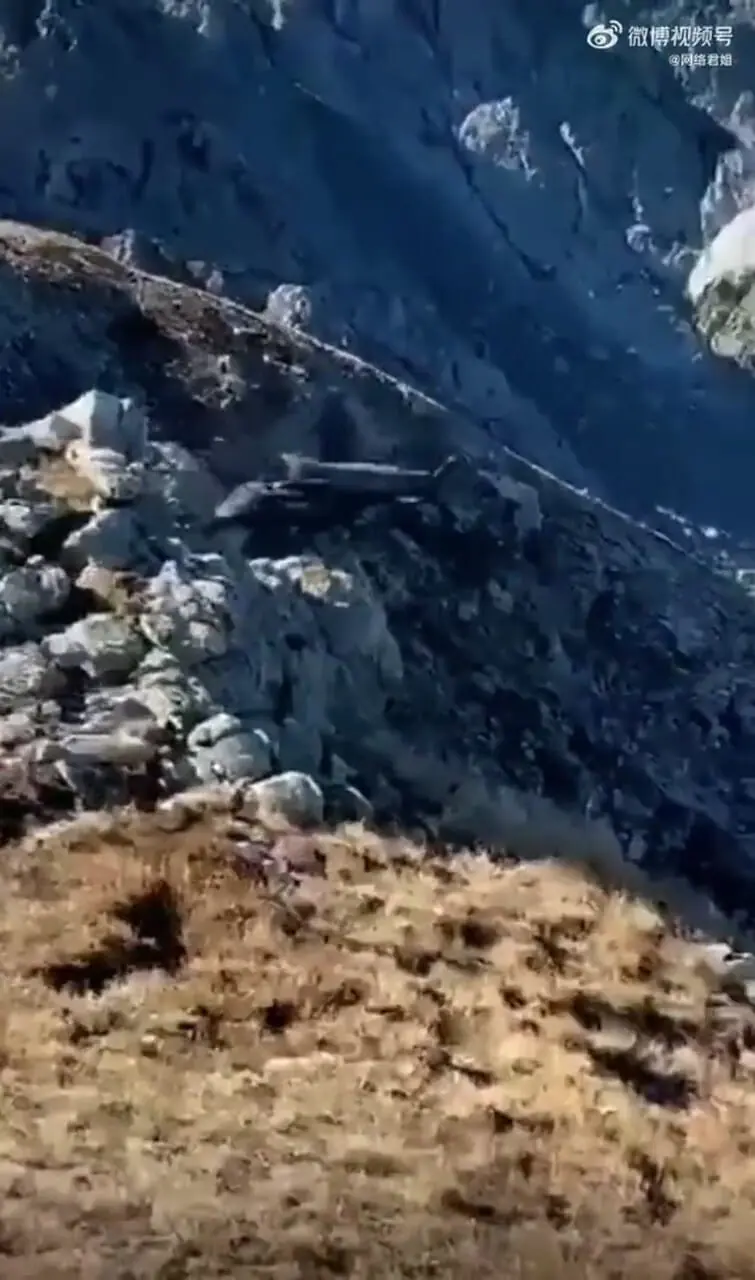 فیلم لحظه نجات هلیکوپتر در شرایط سخت کوهستان