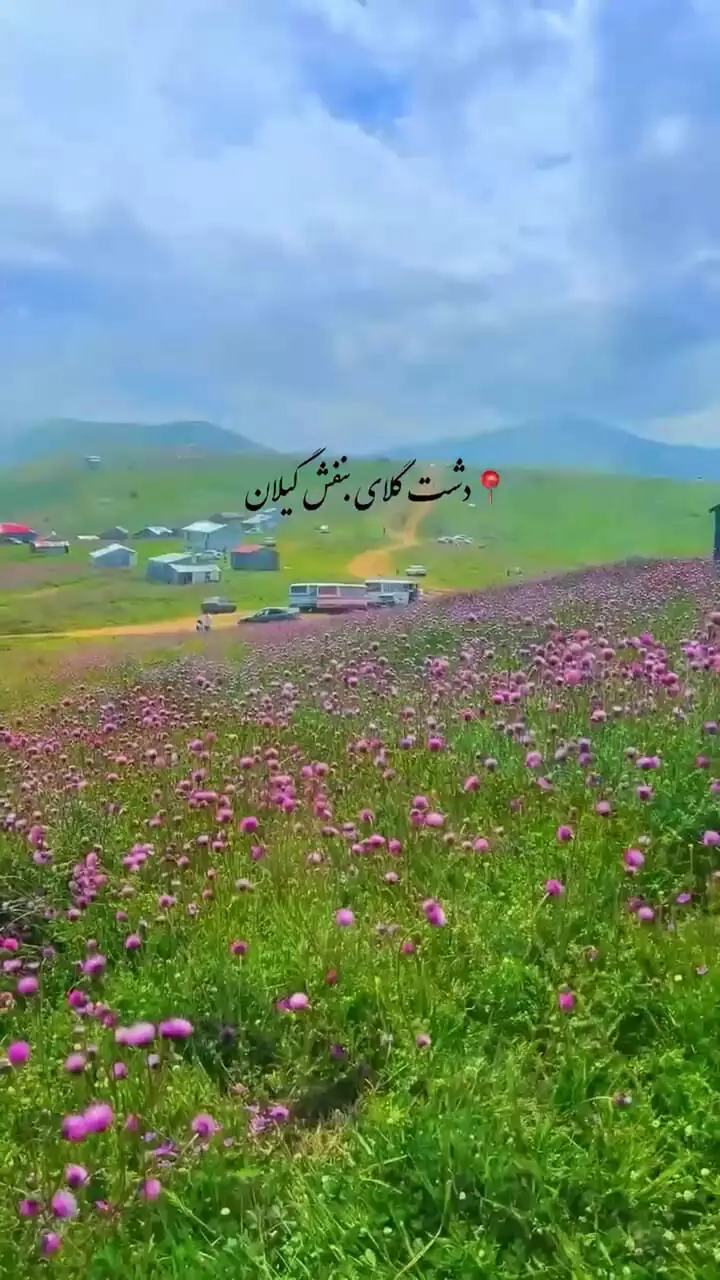فیلم / تماشای دشت بنفش رودبار