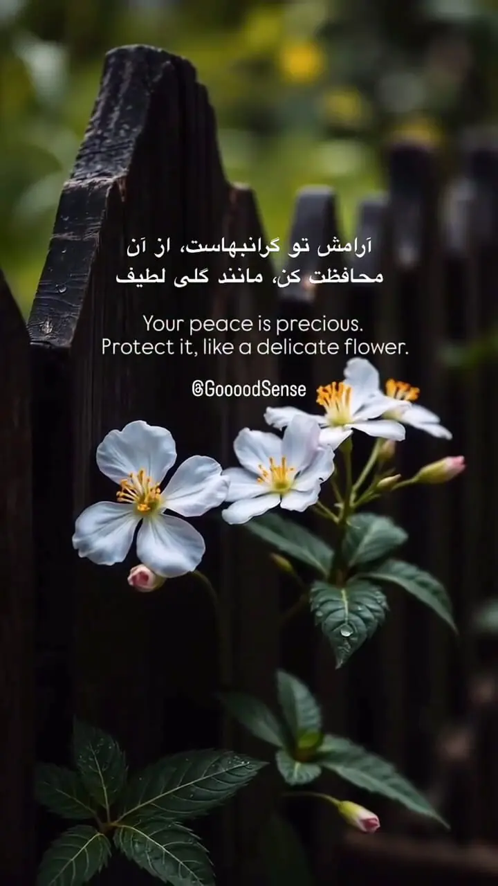 فال و طالع روزانه 23 اردیبهشت