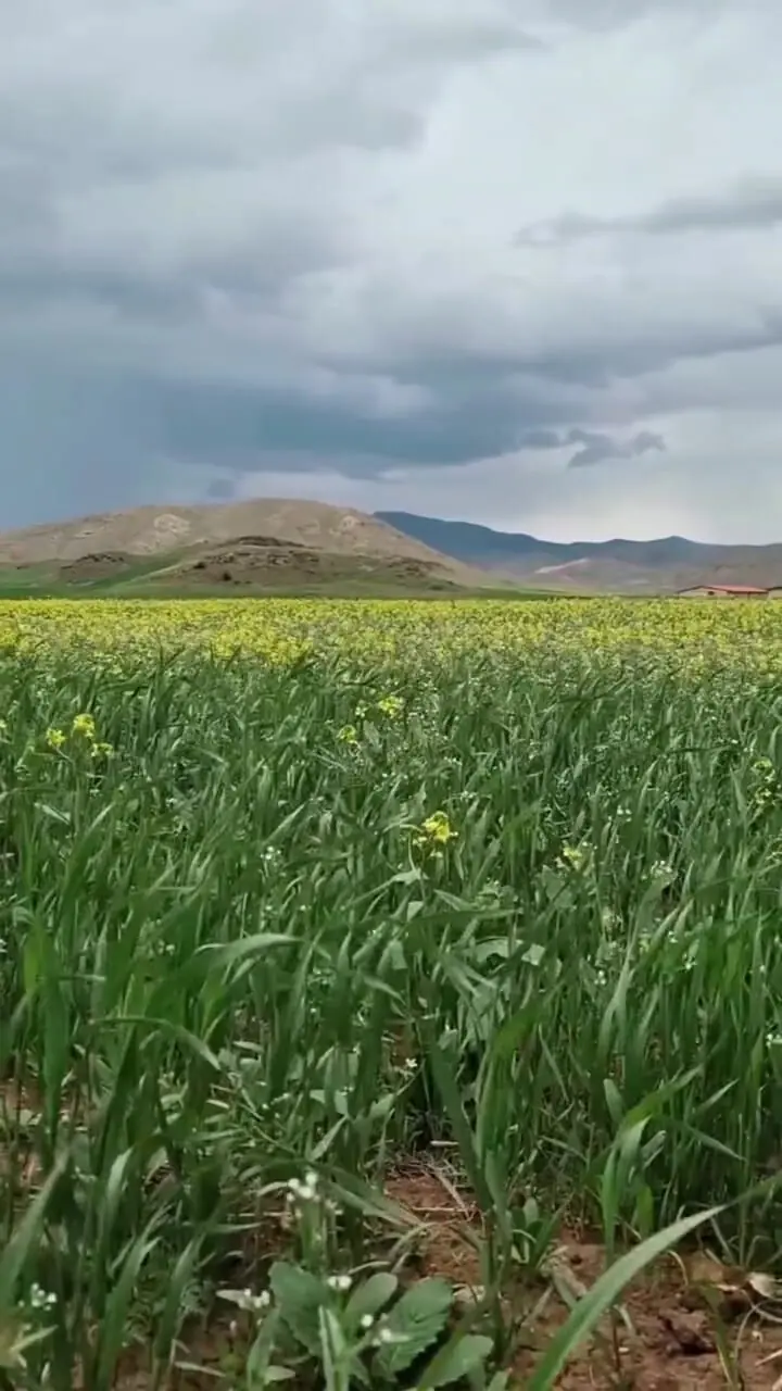 تفسیر فال حافظ 24 اردیبهشت