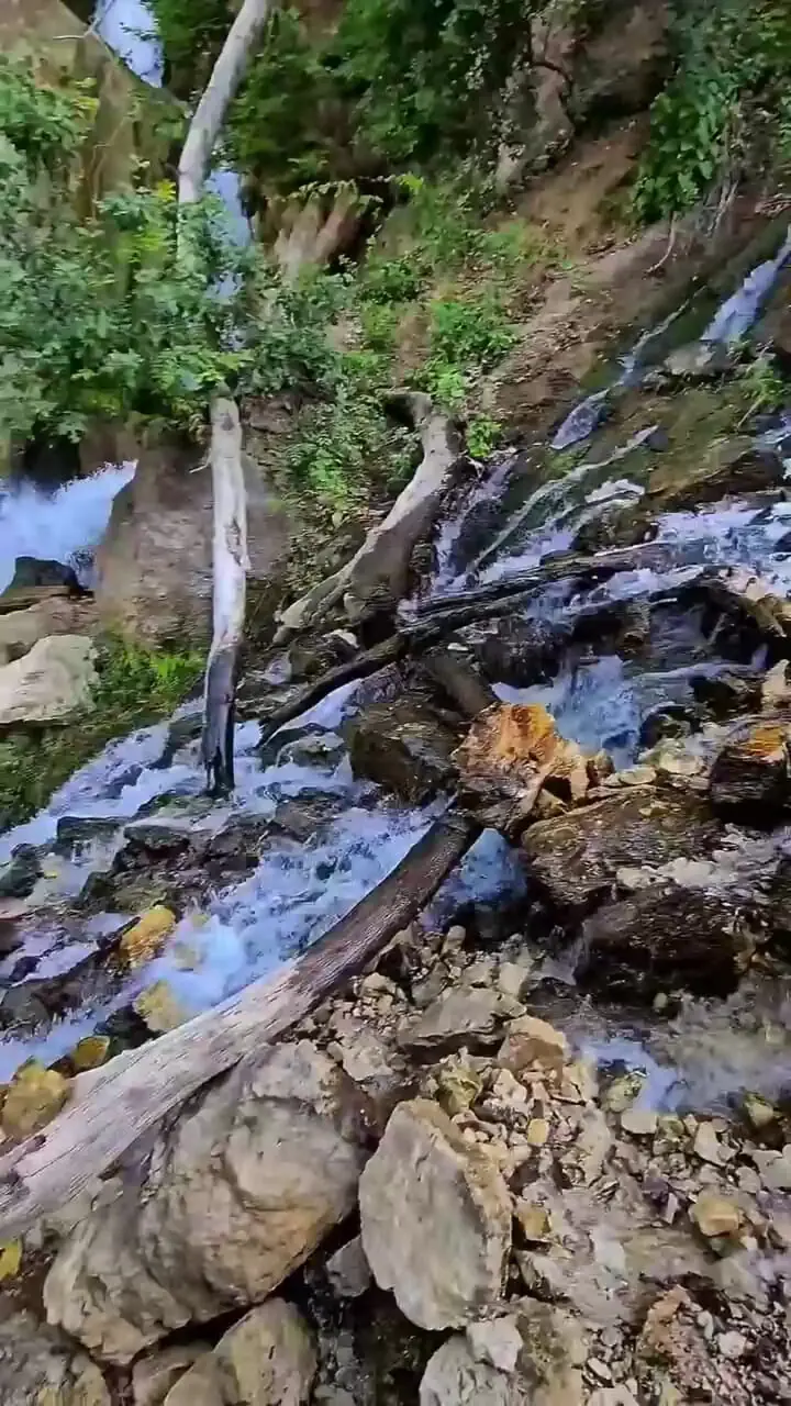 فیلم / آبشار دیدنی وارک در طبیعت سرسبز لرستان