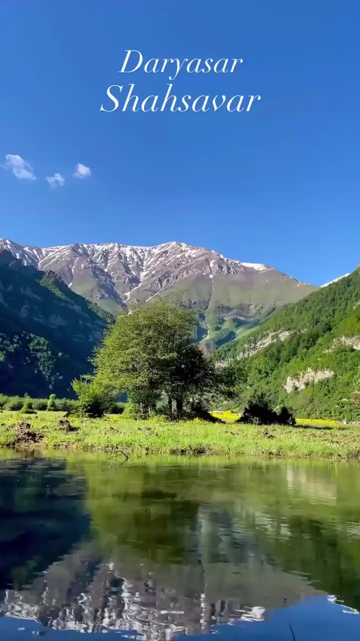 فیلم / زیبایی نفس‌گیر دشت دریاسر در بهار
