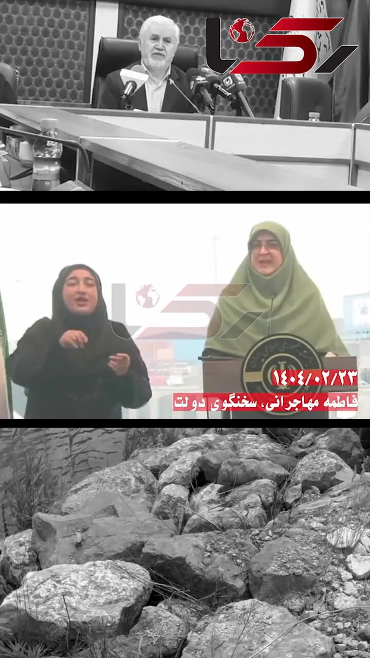 پاسخ مهم سخنگوی دولت درباره استرداد آثار تاریخی به کشور + فیلم