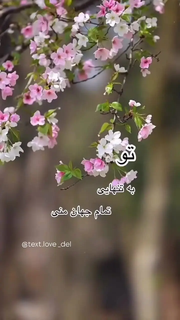 فال و طالع روزانه 26 اردیبهشت