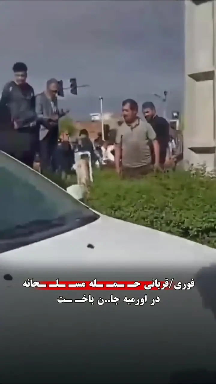 حمله مسلحانه در سه‌راهی ایثار ارومیه جان راننده ۲۰۷ را گرفت / مهاجم متواری است