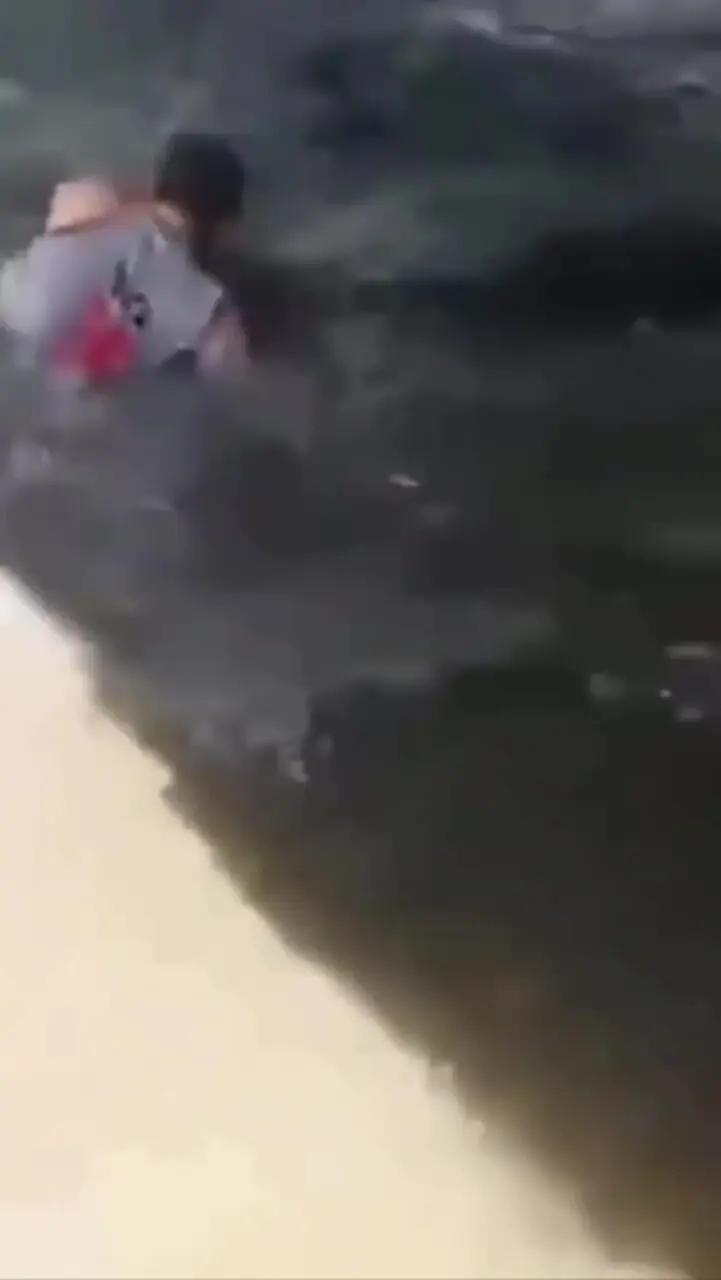 فیلم لحظه وحشتناک گرفتار شدن مرد در دهان کروکودیل در باغ‌وحش