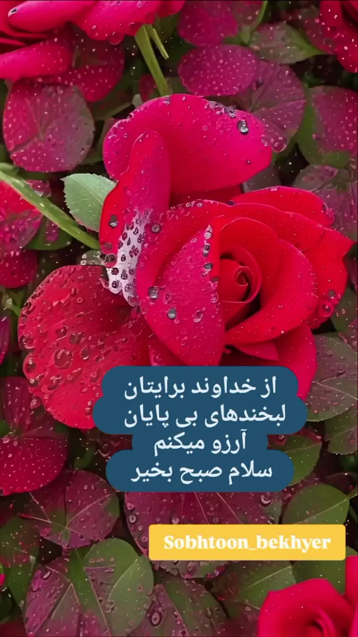 تعبیر فال ابجد 29 اردیبهشت