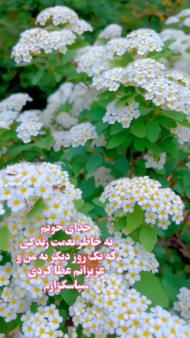 فال و طالع بینی روزانه 30 اردیبهشت