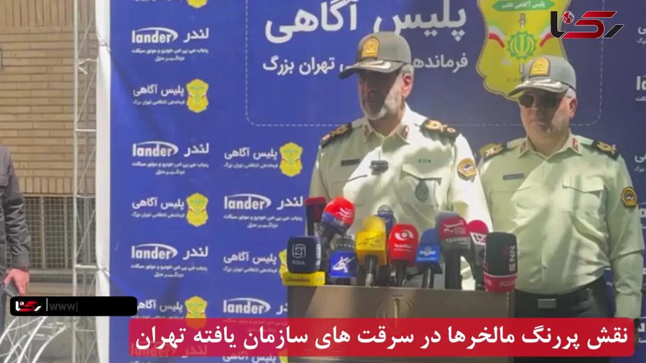 نقش پررنگ مالخرها در سرقت های سازمان یافته تهران