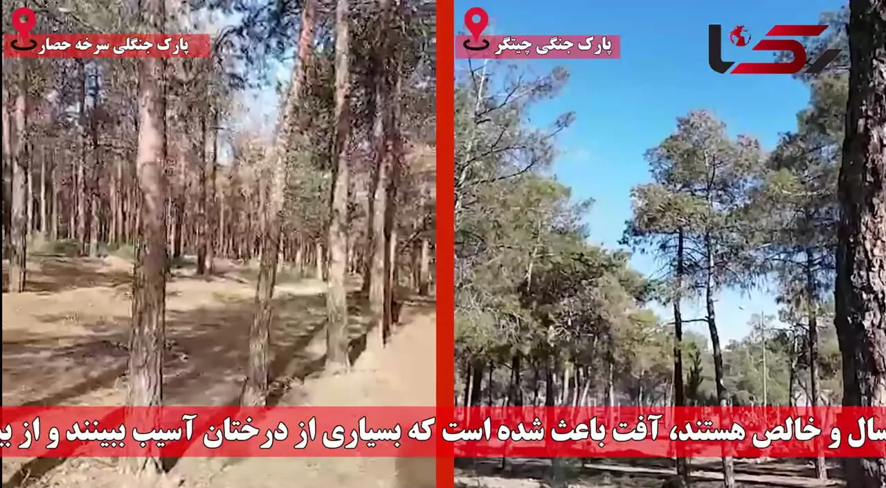 پاسخ به یک ابهام / چه شد که پارک‌های سرخه‌حصار و چیتگر خشک شدند؟ + فیلم