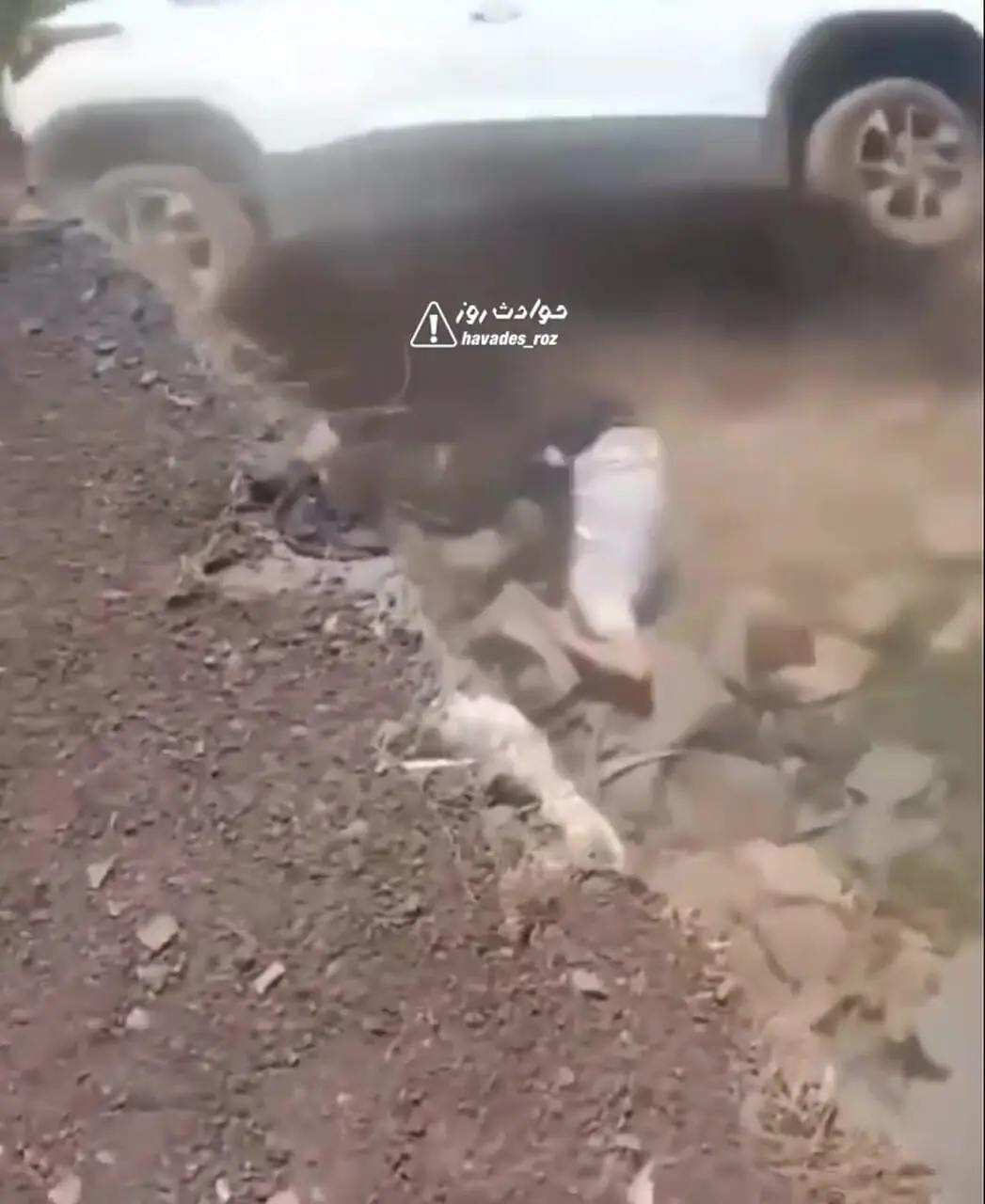فیلم/ فرار معجزه‌آسا از مرگ؛ راننده پیش از سقوط ماشین خودش را بیرون انداخت