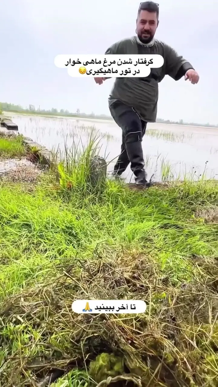 واکنش آموزش و پرورش به زخمی شدن مدیر یک مدرسه دخترانه / خانواده یک دانش آموز به او حمله کرده بودند