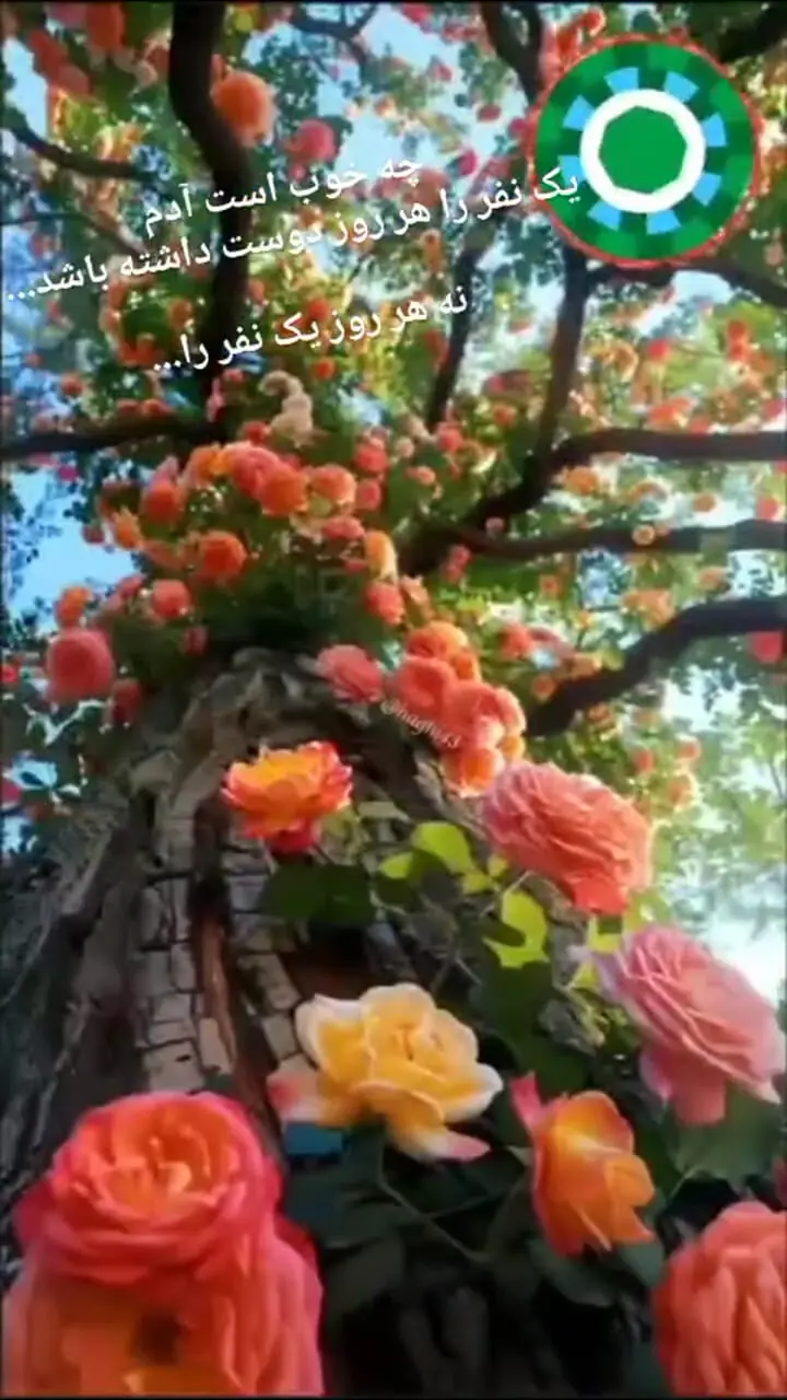 جملات مثبت و انگیزشی امروز