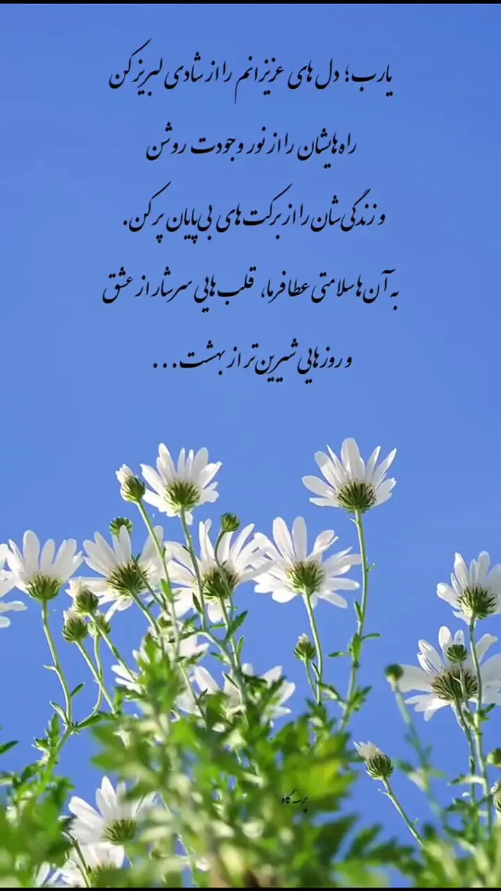 جملات سلام صبح بخیر