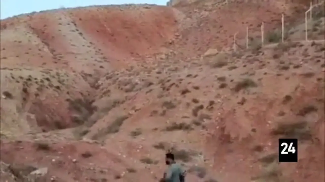  بازگشت به آغوش طبیعت؛ نجات دو بره میش وحشی در کوه سفید دماوند 