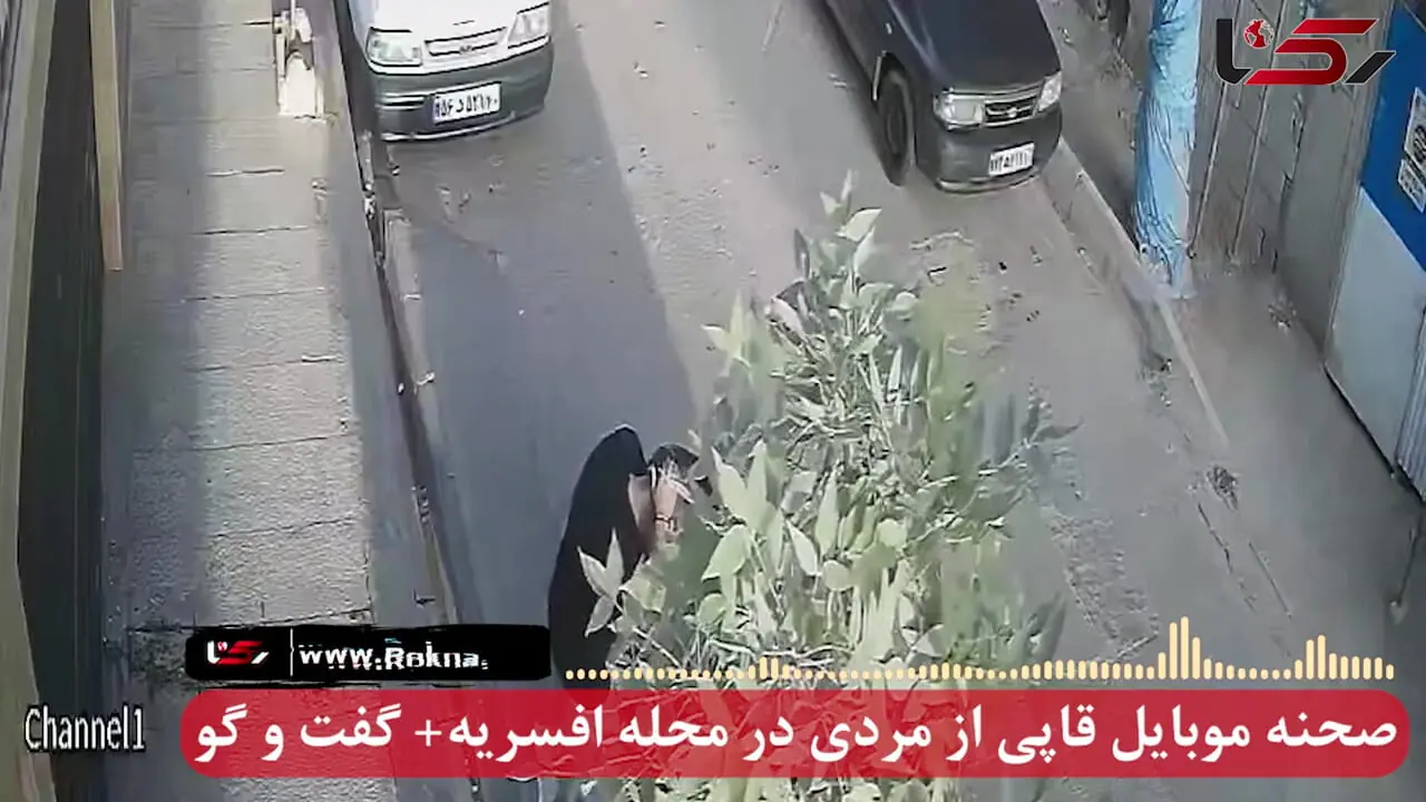 فیلم صحنه سرقت گوشی ۹۵ میلیون تومانی مرد جوان در افسریه تهران ! + گفتگو با مالباخته