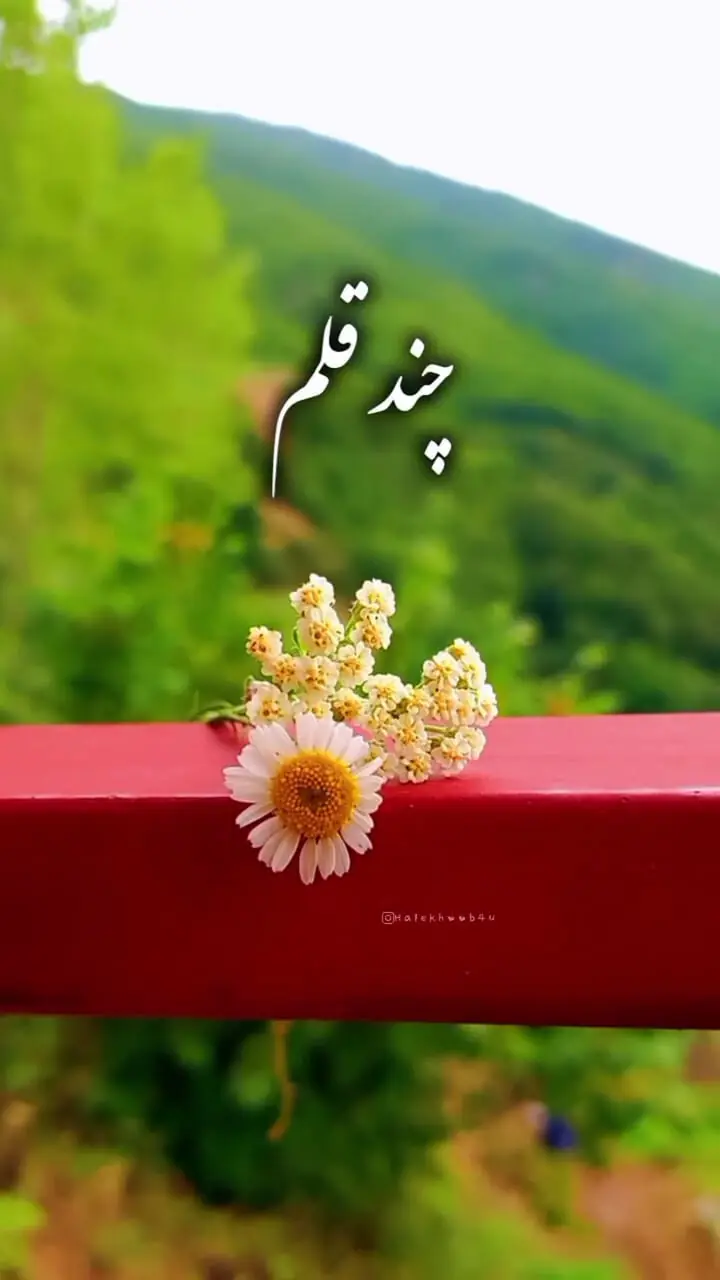 جملات انگیزشی امروز