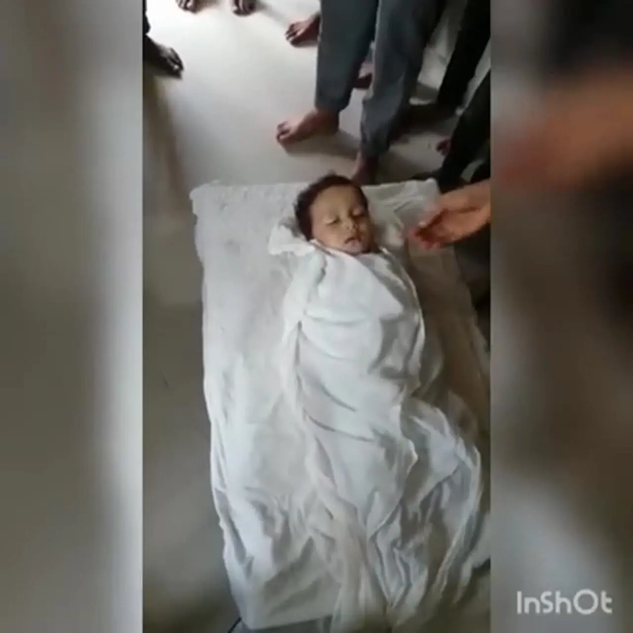 فیلم حمله مرگبار گوسفند به کودک خردسال