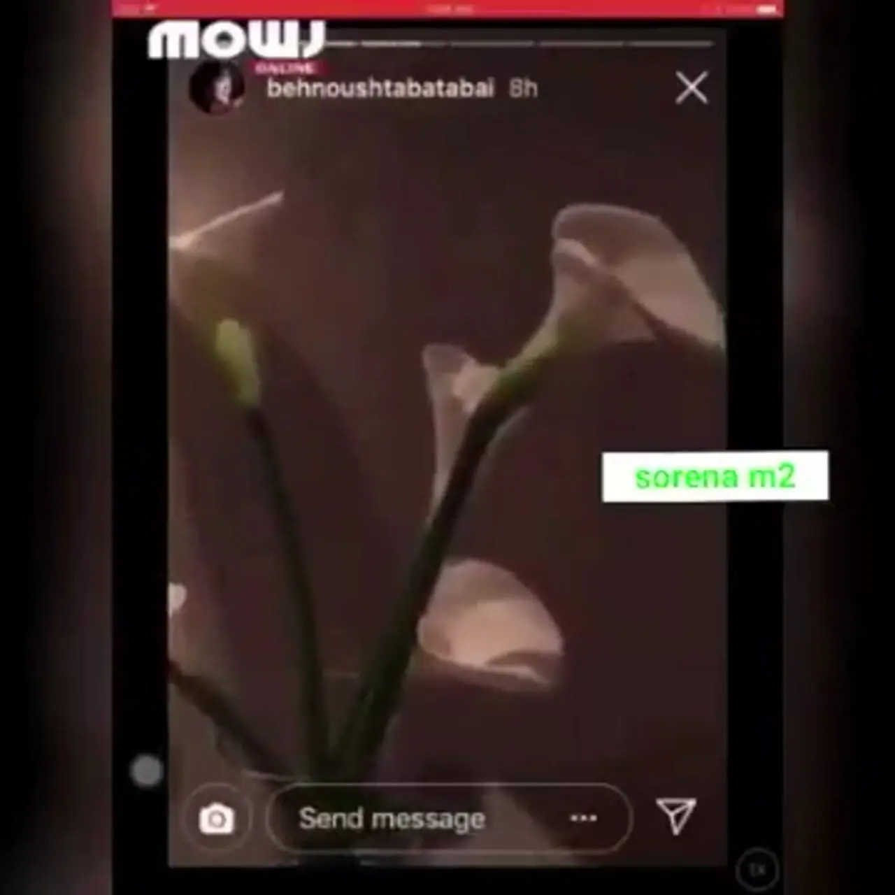 فیلم آواز خوانی بهنوش طباطبایی با آهنگ گوگوش / ترانه از ته چاه سکوت تا بلندای صدا….!