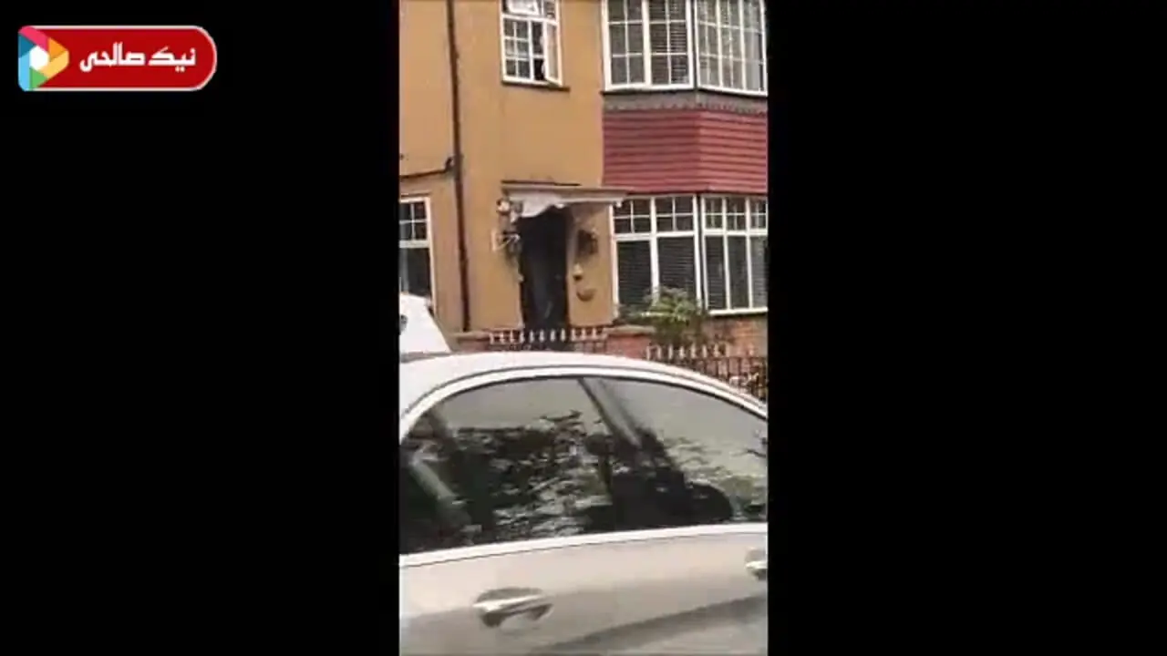 پسر زنده یاد ماه‌چهره خلیلی در قاب دوربین پدرش ابراهیم اشرفی / پرواز چه قدر بزرگ شده و مادر مرحومش ندید!