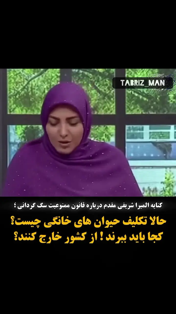 فیلم کنایه المیرا شریفی مقدم درباره قانون ممنوعیت سگ گردانی / حالا تکلیف حیوان‌های خانگی چیست؟