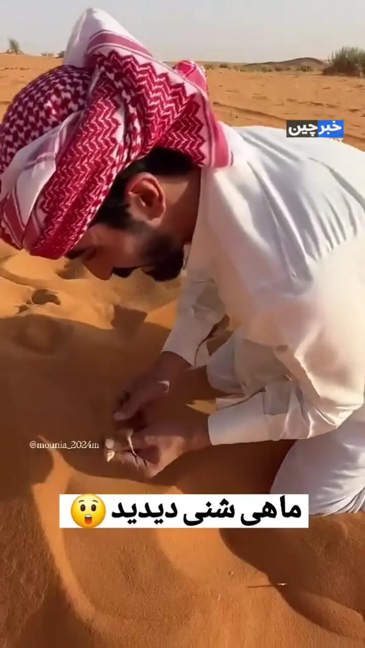 فیلم خزنده‌ای شبیه ماهی در دل صحرا