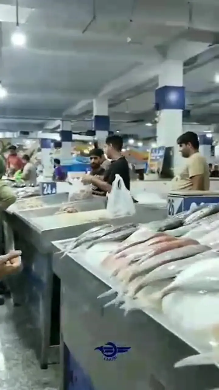 ورود سازمان هواپیمایی کشوری به توسعه اقتصاد مردم پایه با استفاده از هواپیماهای آب‌نشین 