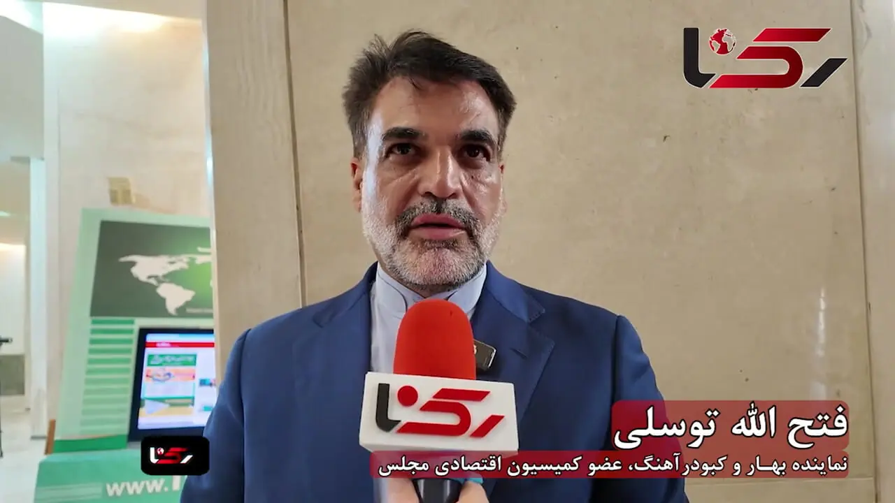 وزیر اقتصاد باید « راننده جاده چالوس‌دیده » باشد! / تحصیلات آکادمیک کافی نیست!
