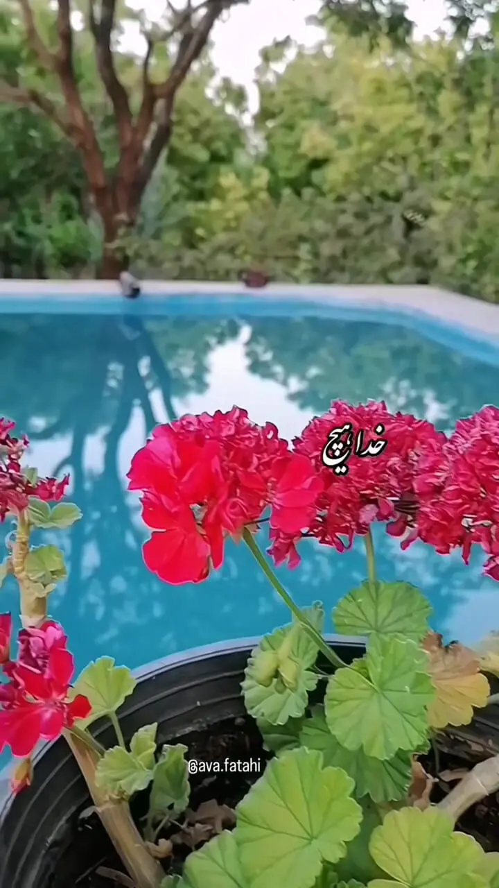 فال ابجد محشر 20 خرداد