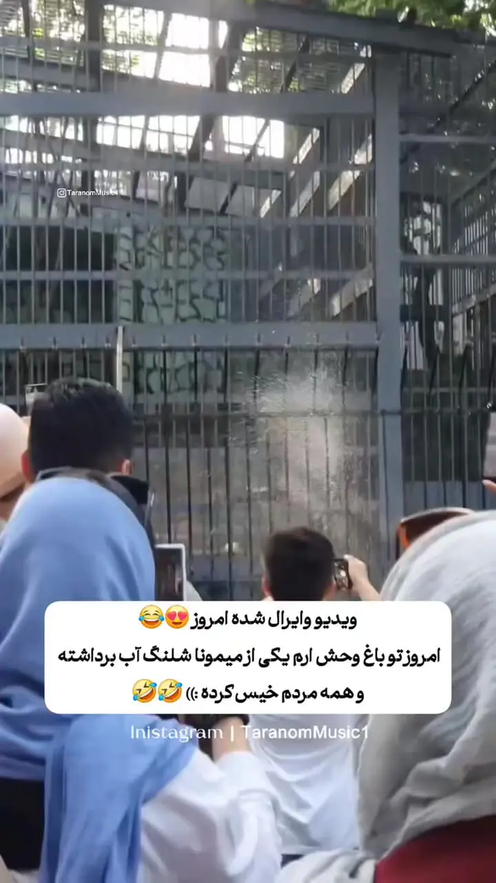 میمون باغ وحش ارم با شیلنگ آب مردم را خیس کرد