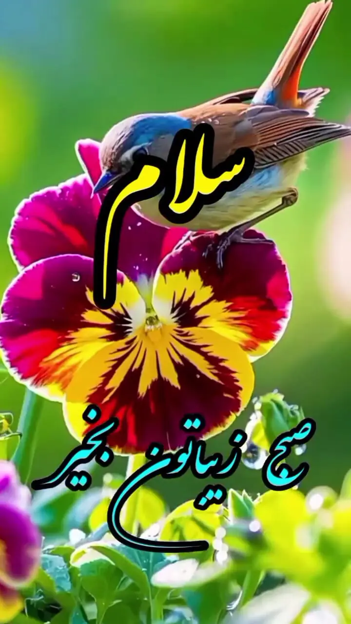 فال و طالع بینی روزانه 24 خرداد