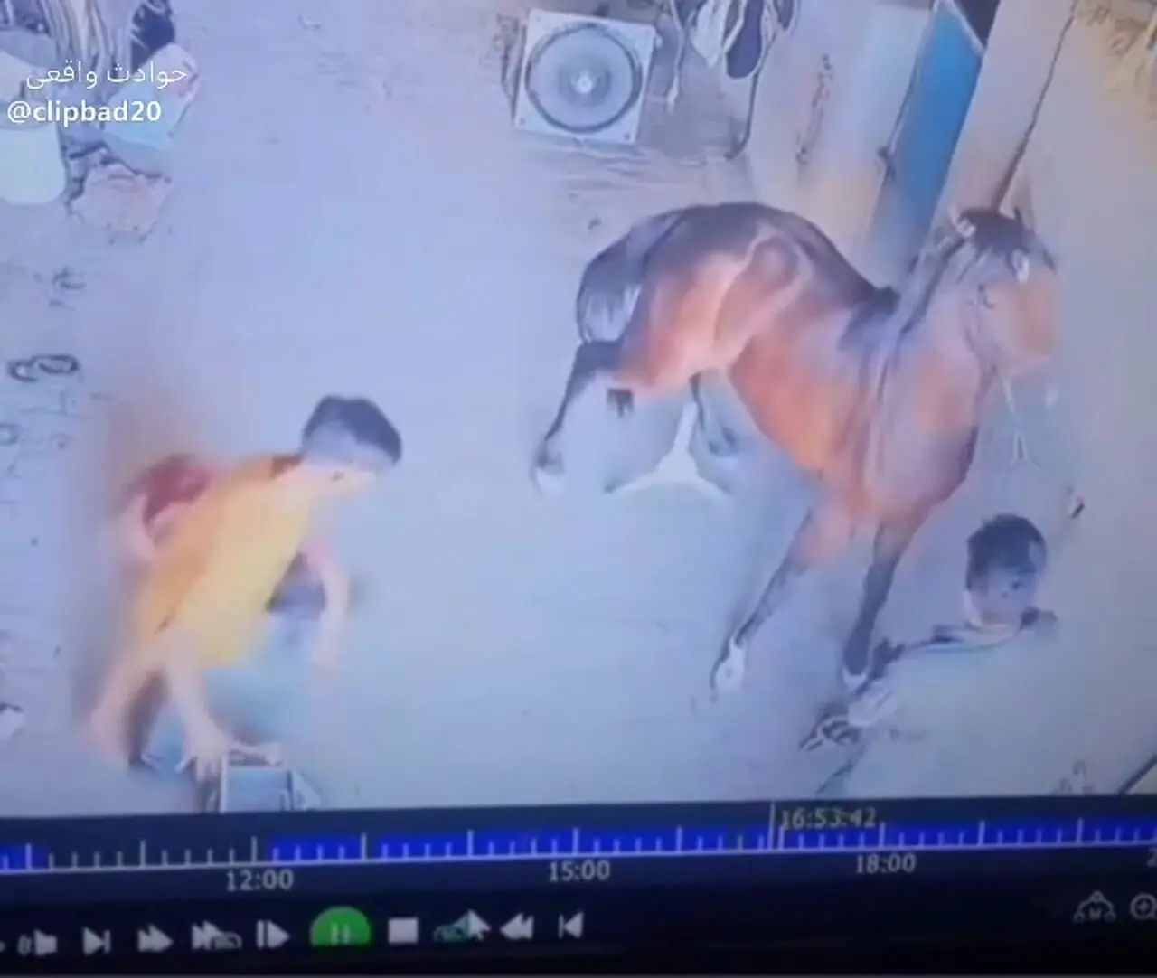 فیلم واکنش خطرناک اسب حین نعل بندی