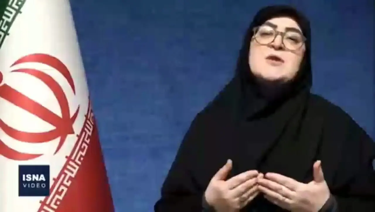 سخنگوی دولت: تقسیم کار دولت برای کنترل اوضاع در قالب 4 کمیته