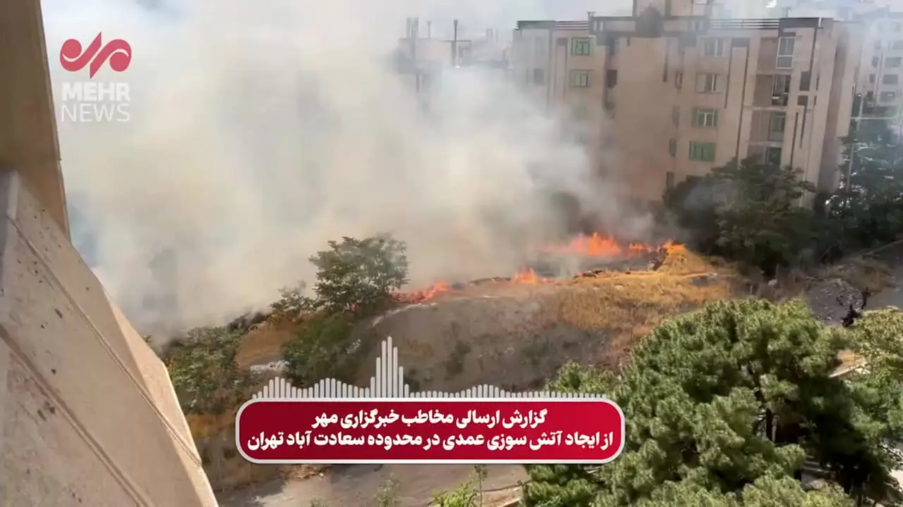 آتش سوزی عمدی در فضای سبز سعادت آباد تهران
