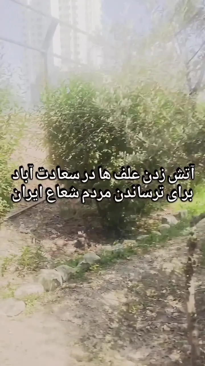 فیلم لحظه بازداشت پیرمردی که در تهران آتش افروزی کرد تا همه بترسند !