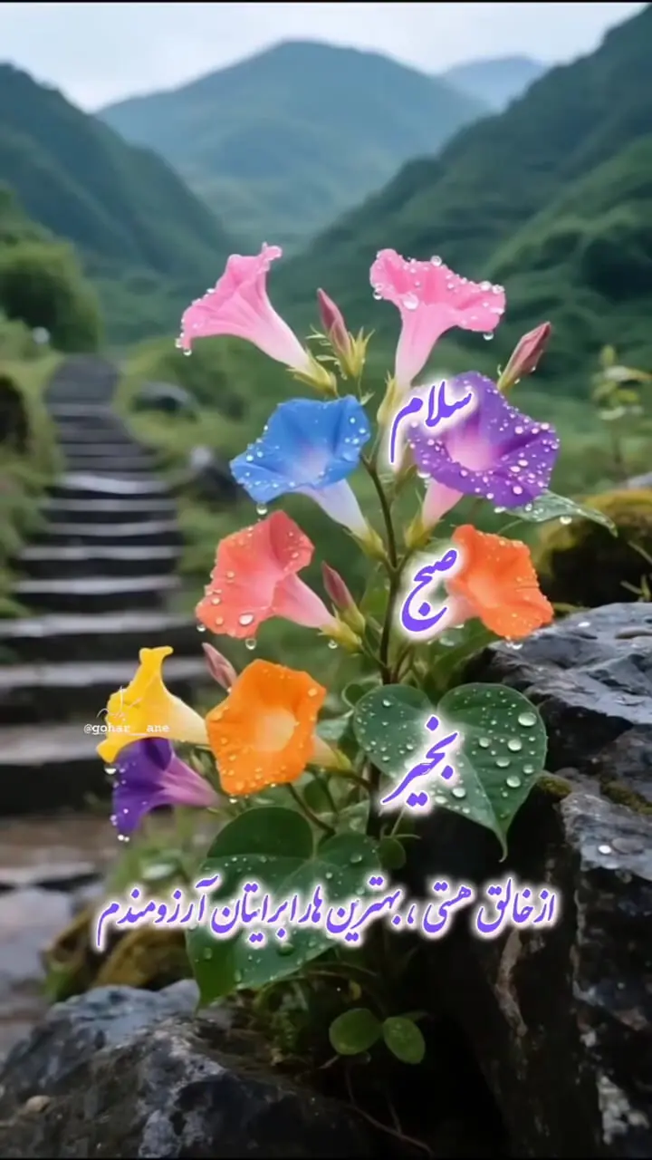 فال ابجد امروز 6 تیر