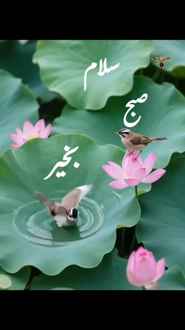 فال ابجد ویژه 11 تیر