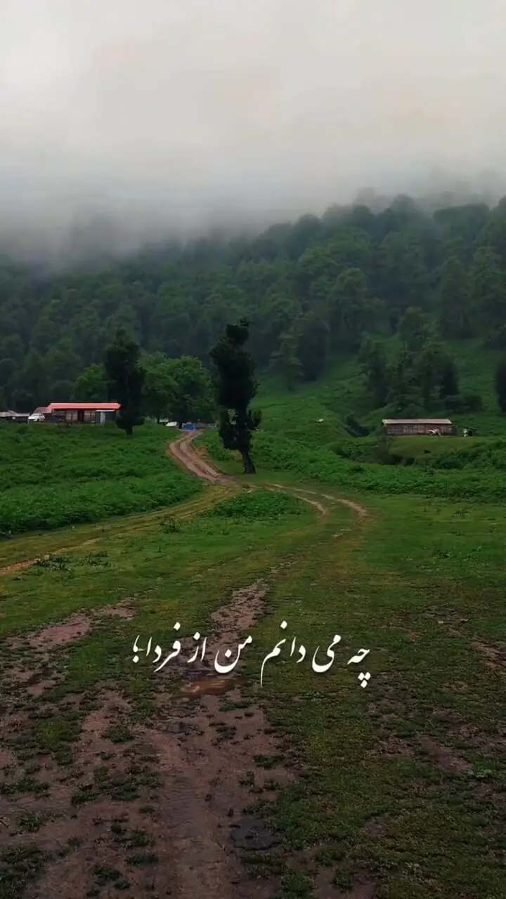 فال و طالع بینی روزانه 11 تیر