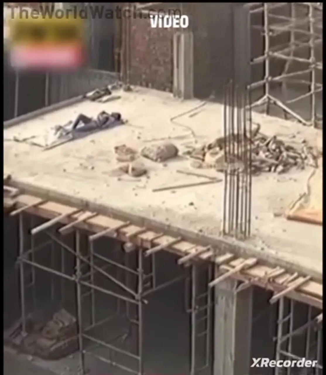 فیلم خواب آرام کارگران در کنار شیرهای خطرناک