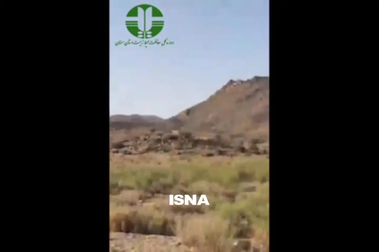 فیلم / مشاهده هم زمان 5 یوزپلنگ آسیایی در پارک ملی توران
