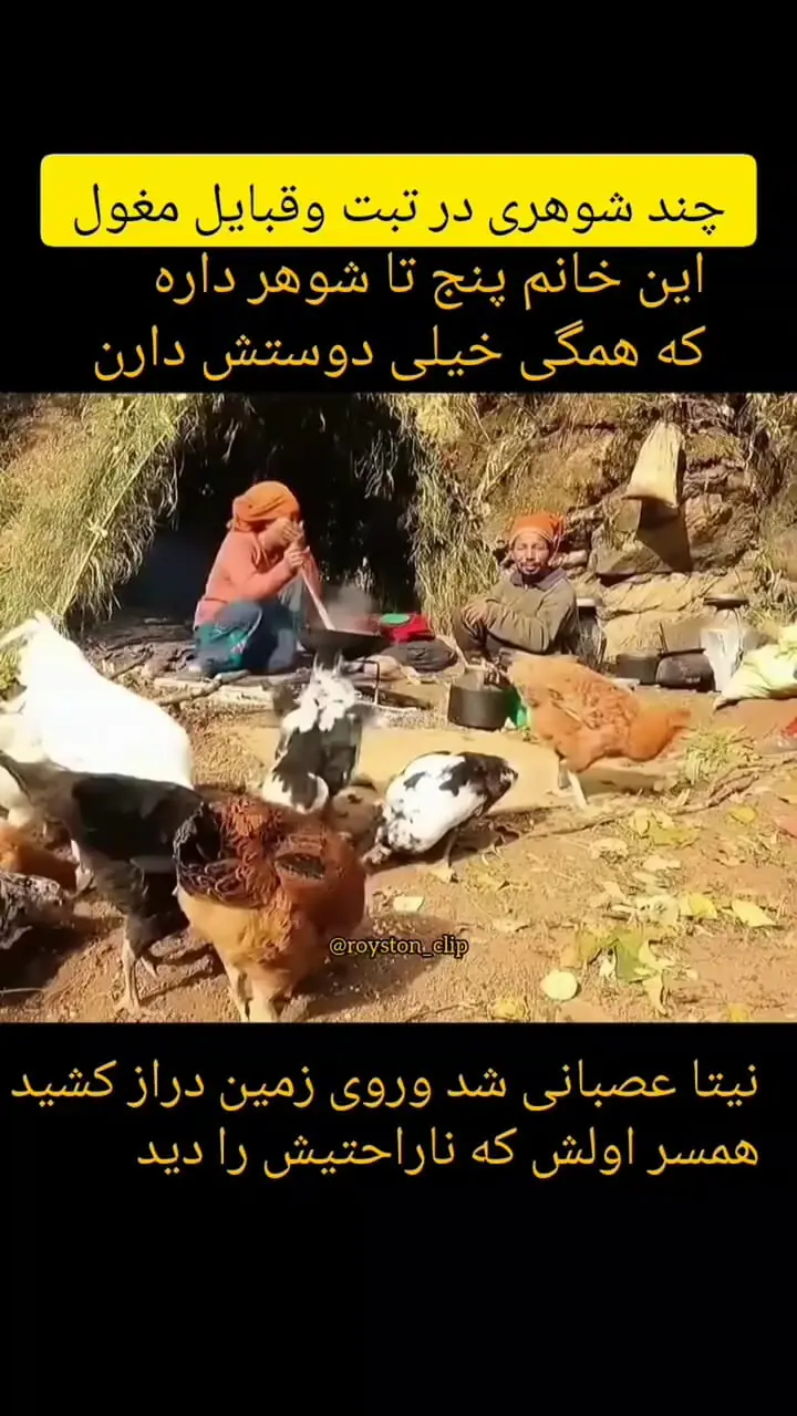 این زن 5 شوهر دارد که به او خدمت می کنند ! / از فیلمبردار هم خواستگاری کرد !