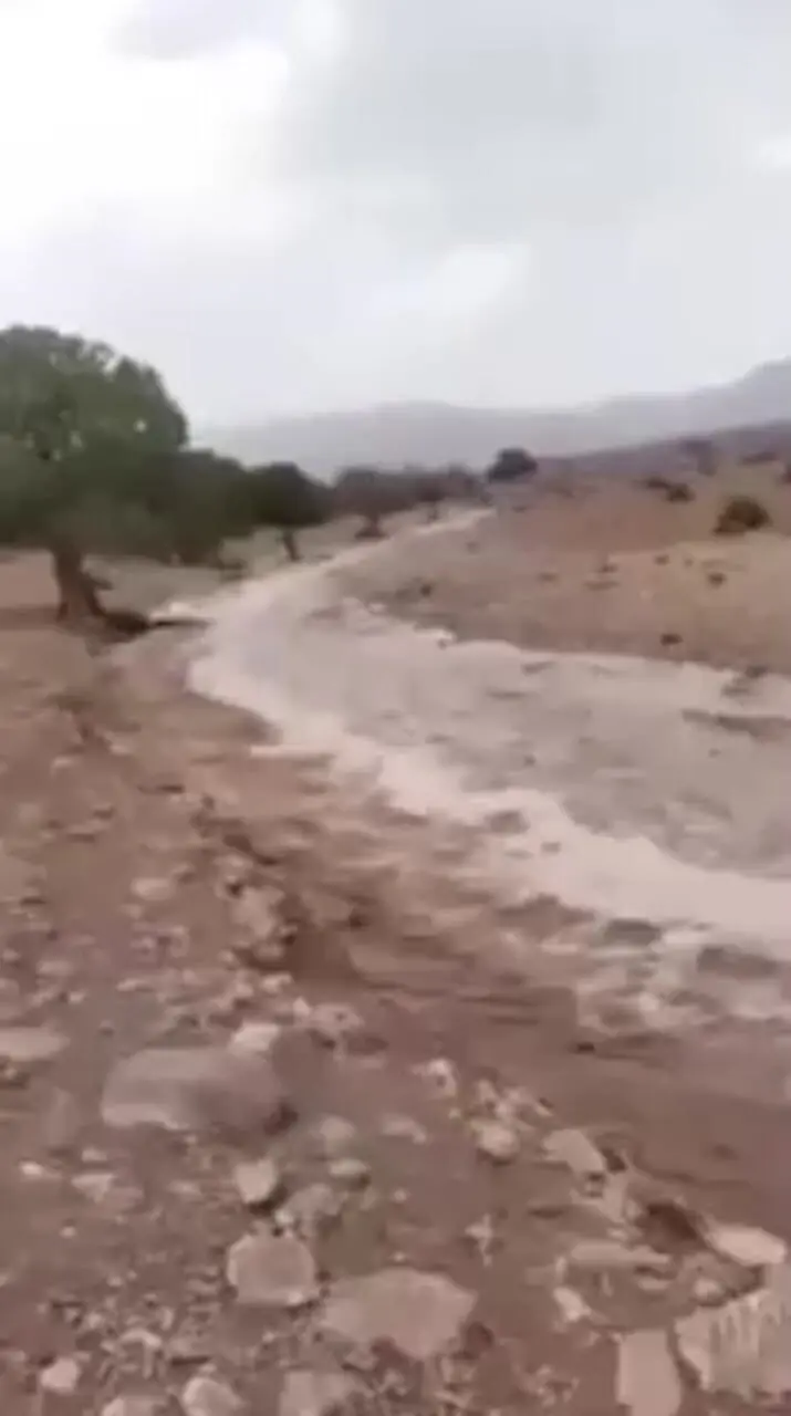 ببینید / بارش باران و جاری شدن روان‌ آب، صبح امروز در یزد 