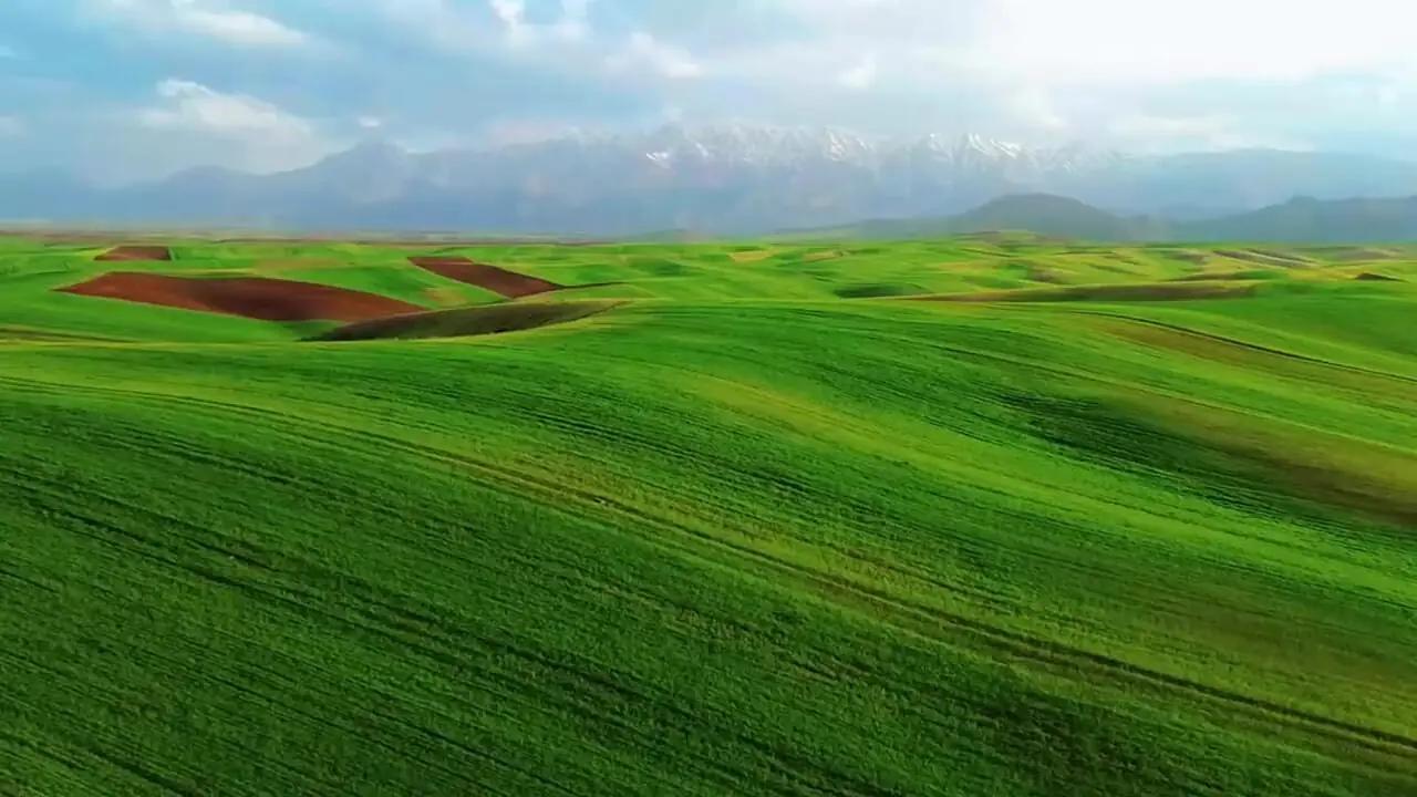 قالی‌کوه نمادی از هنر و فرهنگ غنی لرستان در دل طبیعت + فیلم