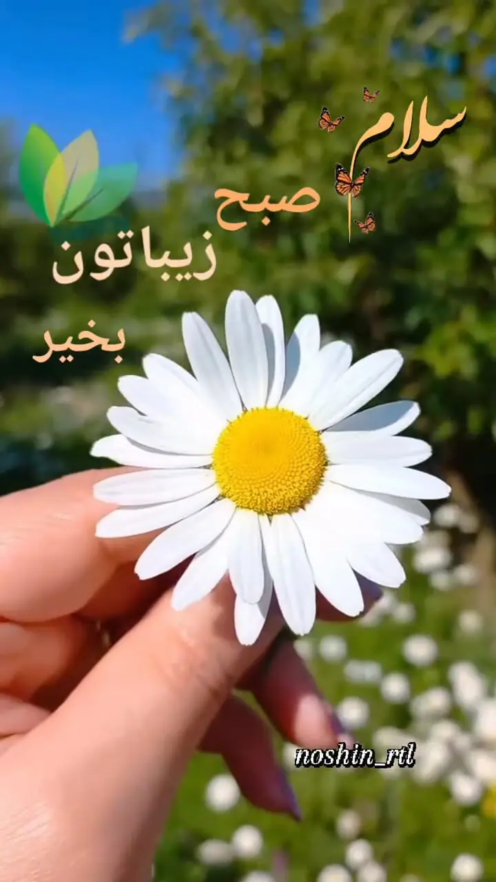 تفسیر دقیق فال حافظ امروز 23 تیر