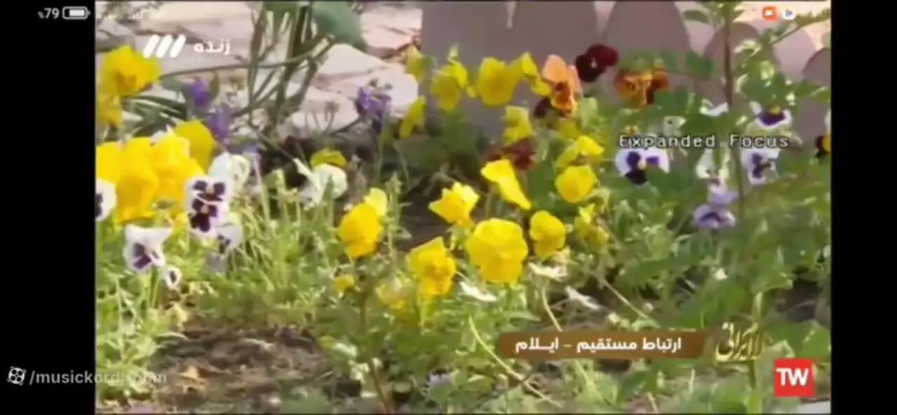 دانلود آهنگ ته‌ن ته‌نان ناصر ناصری (تن تنان) - همراه با متن + موزیک ویدئو