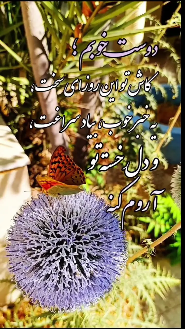تفسیر فال حافظ 24 تیر ماه