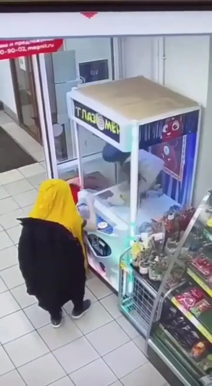فیلم نقشه خلاقانه سه برادر برای بردن همه جوایز دستگاه