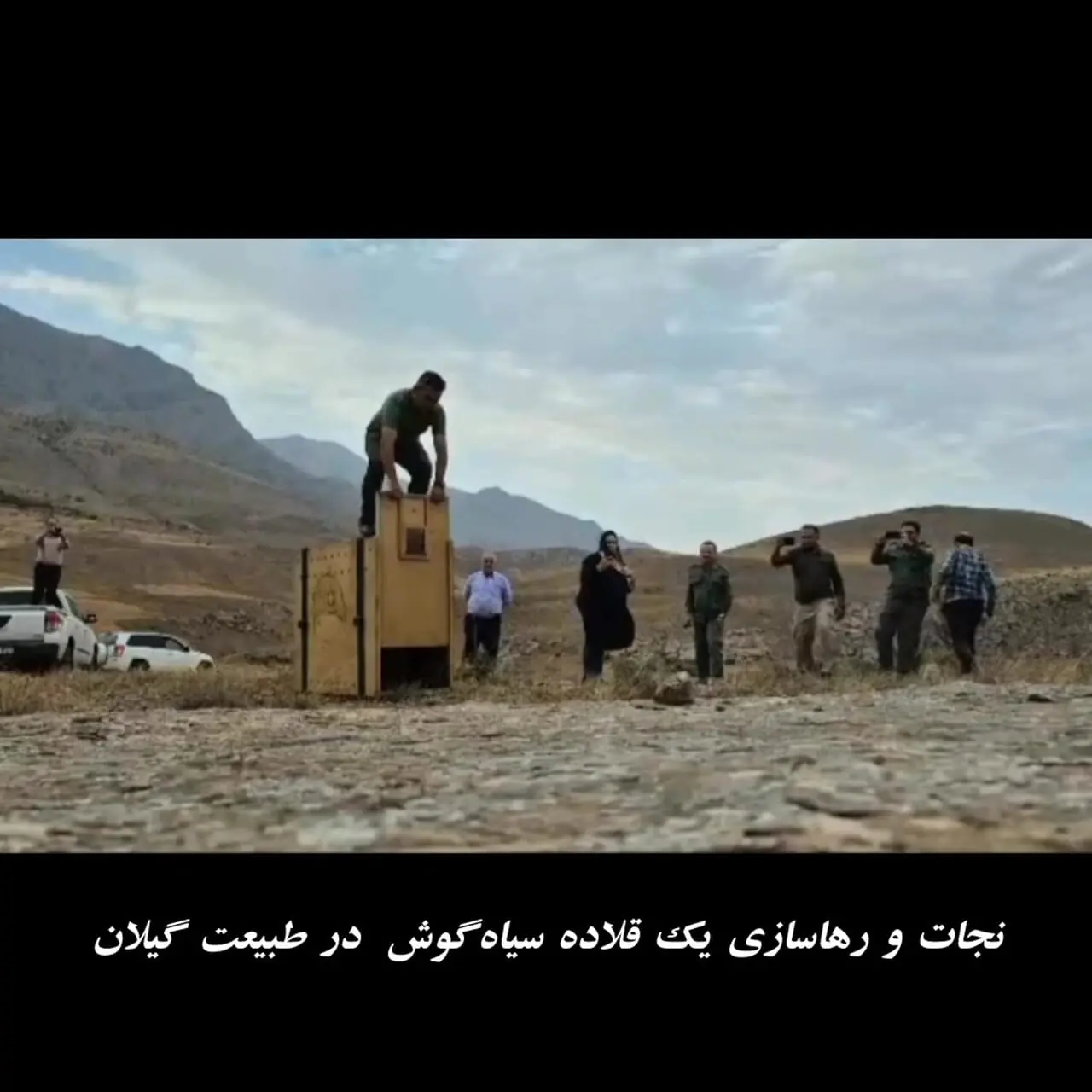 فیلم زیبا از نجات و رهاسازی یک سیاه گوش در گیلان