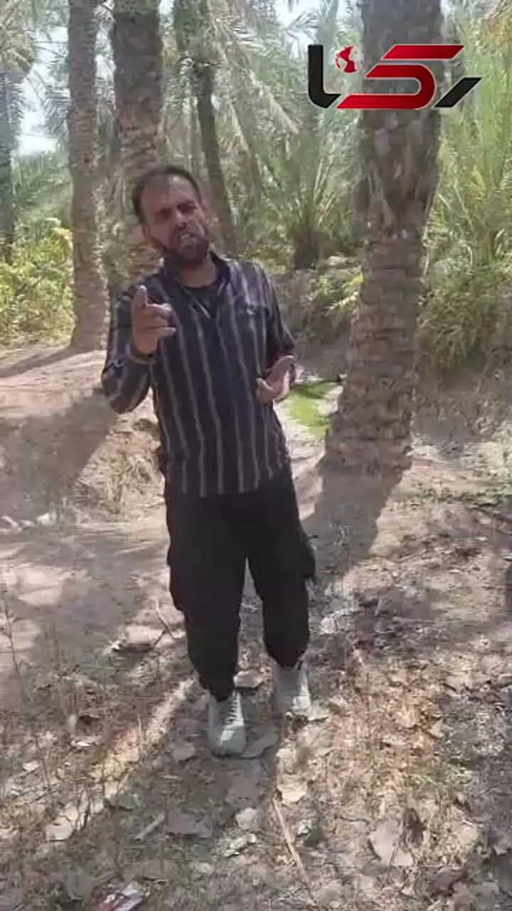 نیشکر می‌نوشد، نخل می‌سوزد/ ۲.۵ میلیون نخل در معرض خطر/  مردم خرمشهر و آبادان از آب چشم‌سوز می گویند + فیلم